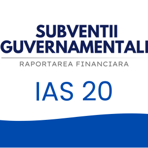 IMCONSULTING IAS20