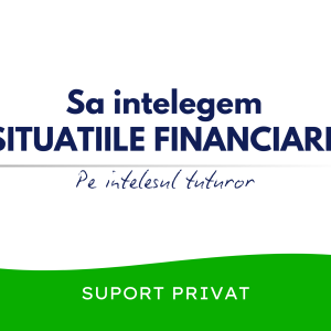 Sa Intelegem Situatiile Financiare (+suport privat)