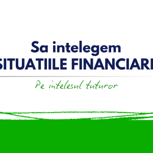 Sa Intelegem Situatiile Financiare