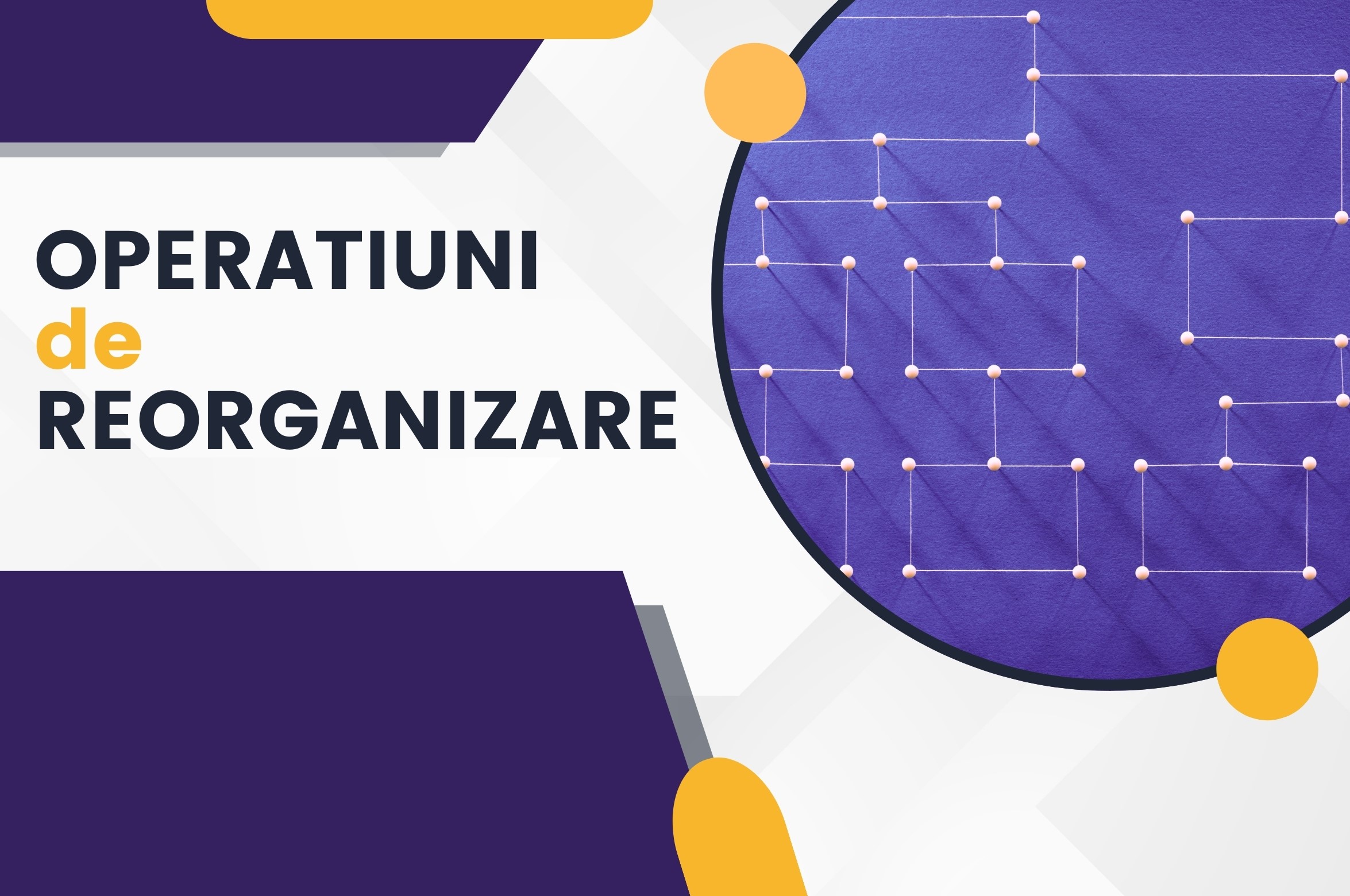 Operatiuni de reorganizare 🟪