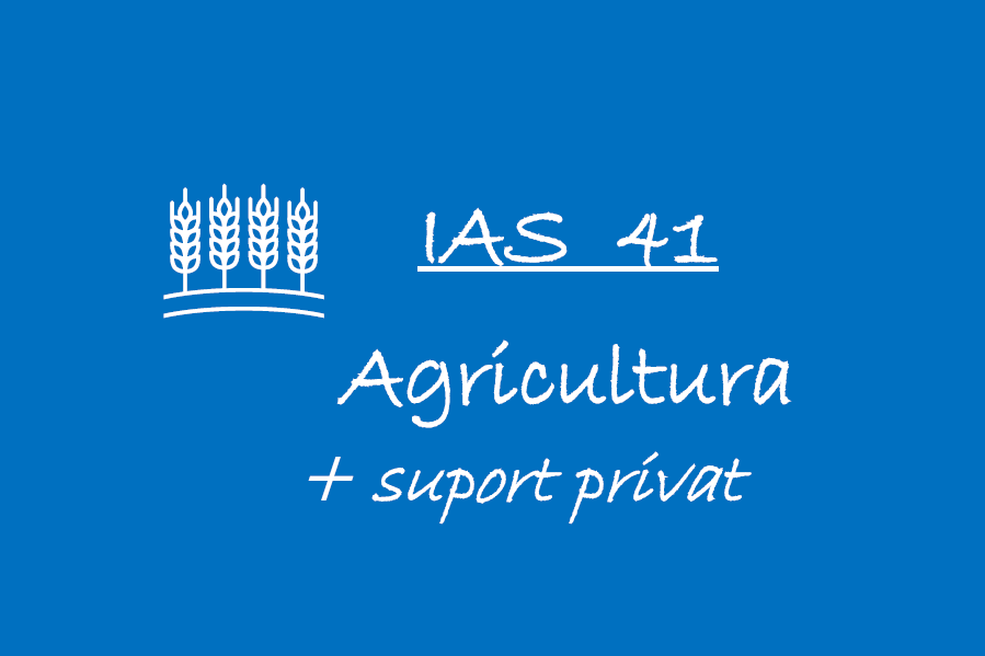 IAS 41- Agricultura 🟦👩🏻‍🏫