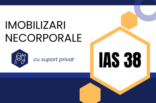 IMCONSULTING IAS 38 curs FS