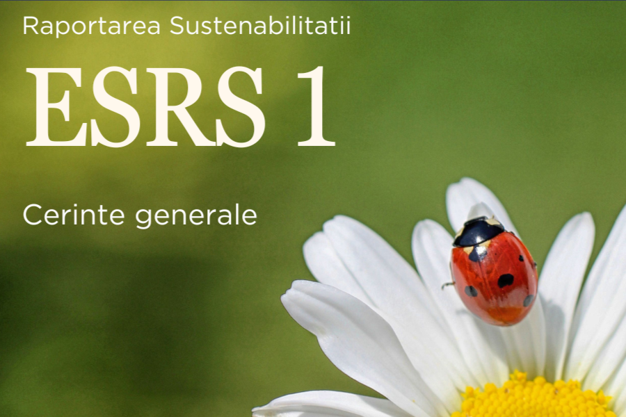 ESRS 1 Cerinte generale