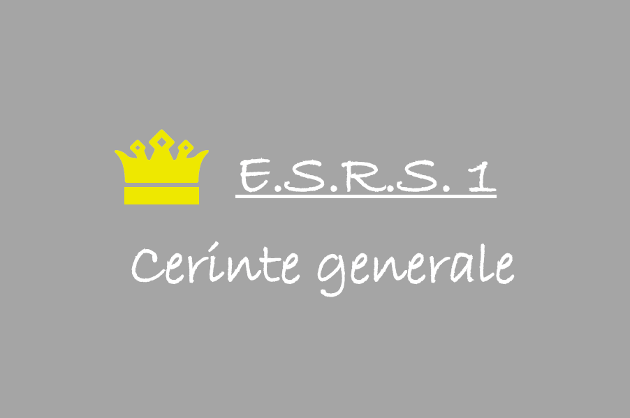 ESRS 1 Cerinte generale